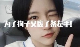 狗哥最新爆料视频大全集,揭秘娱乐圈幕后真相